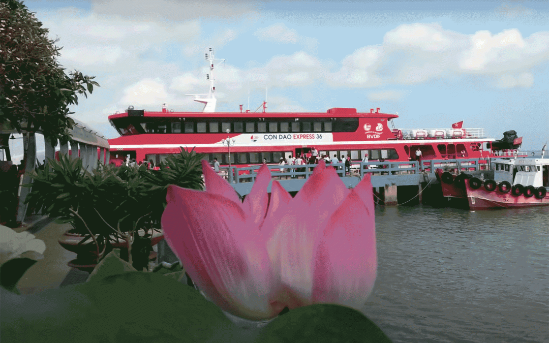 Express Côn Đảo 36 | Trưng Nhị Tiêu Chuẩn 5 Sao